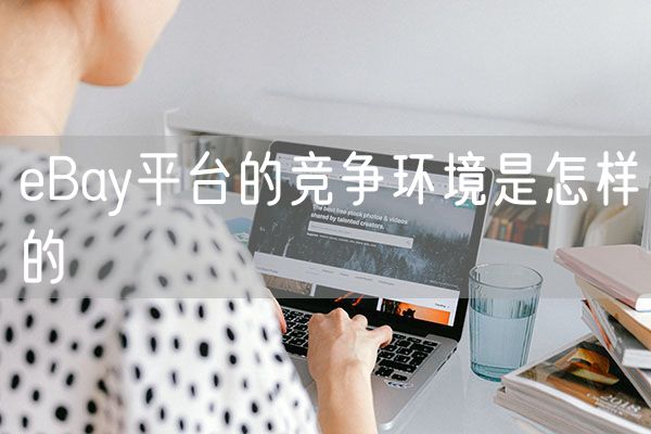 eBay平台的竞争环境是怎样的