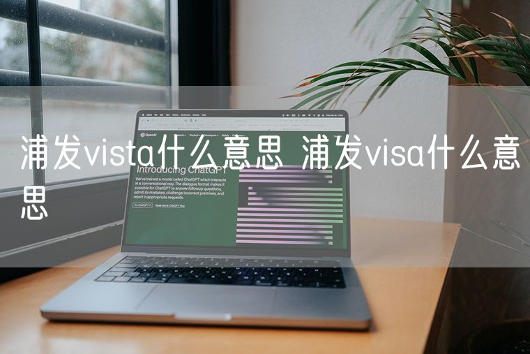 浦发vista什么意思 浦发visa什么意思