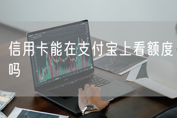 信用卡能在支付宝上看额度吗