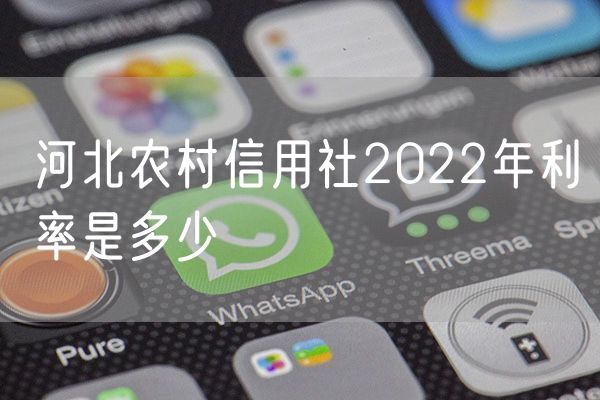 河北农村信用社2022年利率是多少