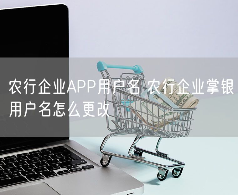 农行企业APP用户名 农行企业掌银用户名怎么更改